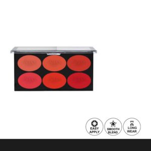 Aqua Color Line 6 Color Blush Palette